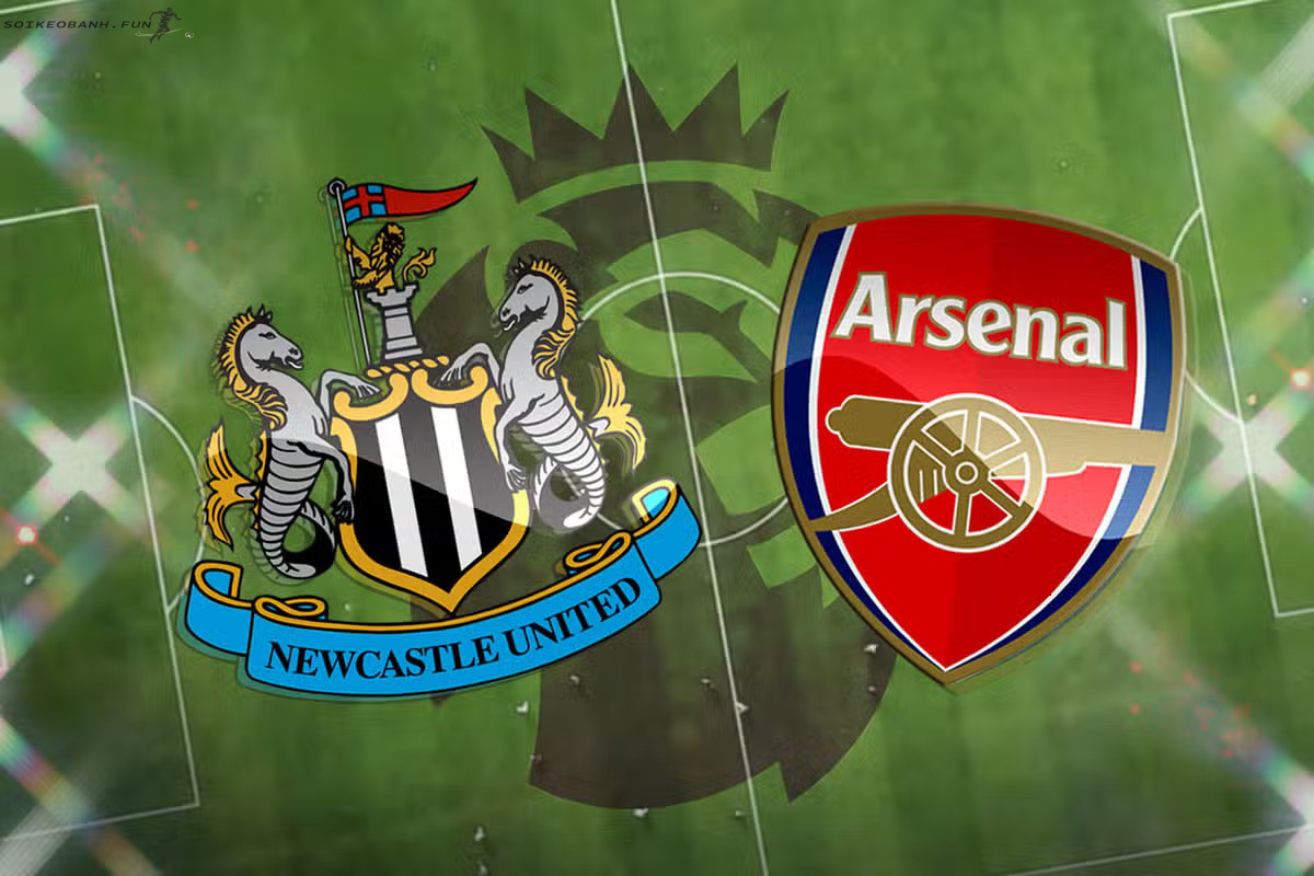 Nhận định Newcastle vs Arsenal (00h30 ngày 5/11) trong khuôn khổ vòng 11 của giải Ngoại hạng Anh 2023/24